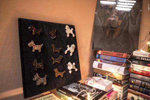 Нельзя кормить, но можно забрать домой: в Новосибирске открыли кафе с бездомными собаками. 03