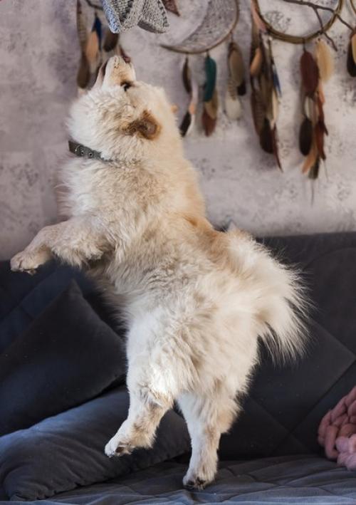 Я вам очень за ваши ответы под последним постом благодарна? 02