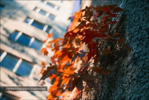 16-Ти этажки по героев Сталинграда Припяти, дома номер 9 и 12 соответственно, стоят друг напротив друга - через улицу. 08