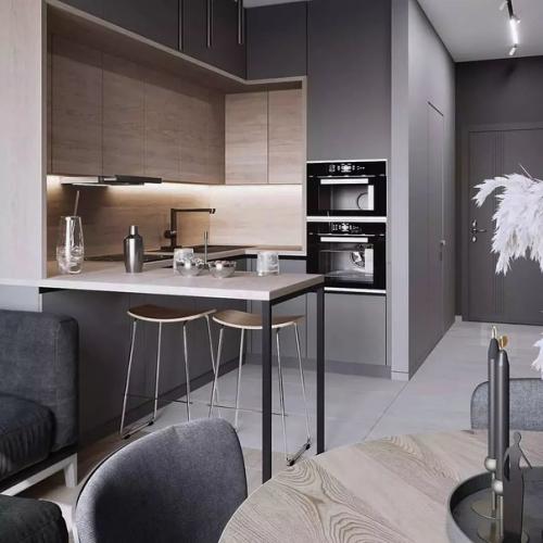 Кухня - гостиная площадью 17 кв. 01