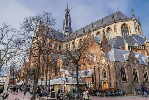 Церковь святого бавона (нидерл. 02