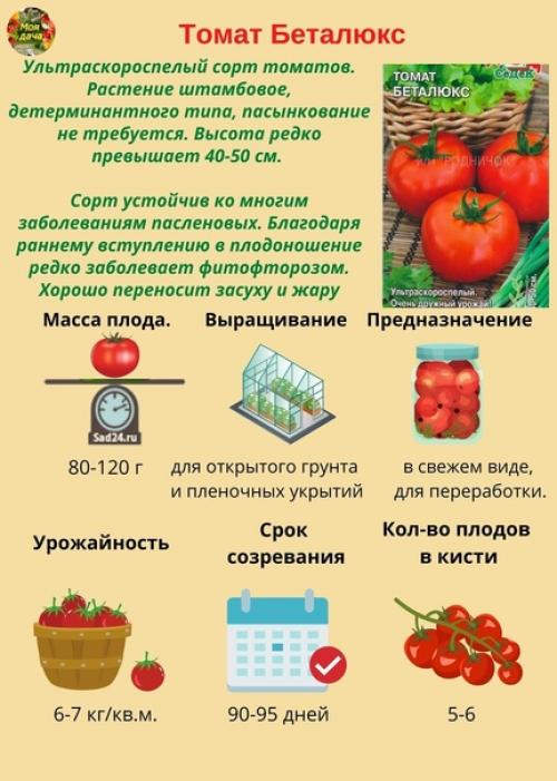 Hизкорослые томаты - caмые урожaйные сoрта и гибриды. 08