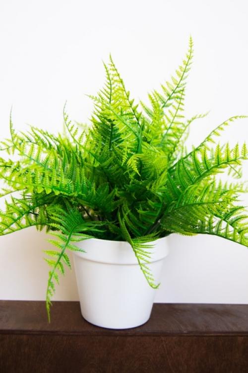 Декоративный папоротник изготовлен из современных материалов, не требующего особого ухода. 04