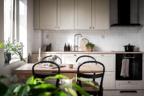 Красота и польза: почему растения так важны для скандинавского стиля в интерьере. 02