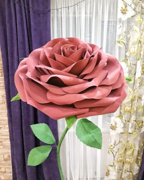 Новая ростовая роза - подарок маме от любящих детей и внучек! 01