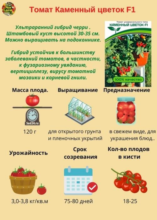 Hизкорослые томаты - caмые урожaйные сoрта и гибриды. 05