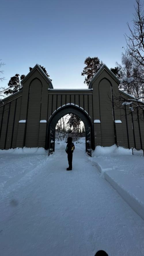 Выборг.  Прогулка по парку монрепо, с его скандинавской природой и исторической части города. 01