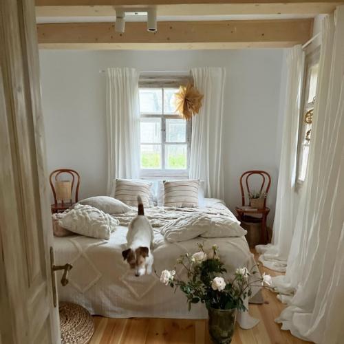 Дом с Душой - именно так хозяйка называет свое семейное восстановленное гнездышко. 05