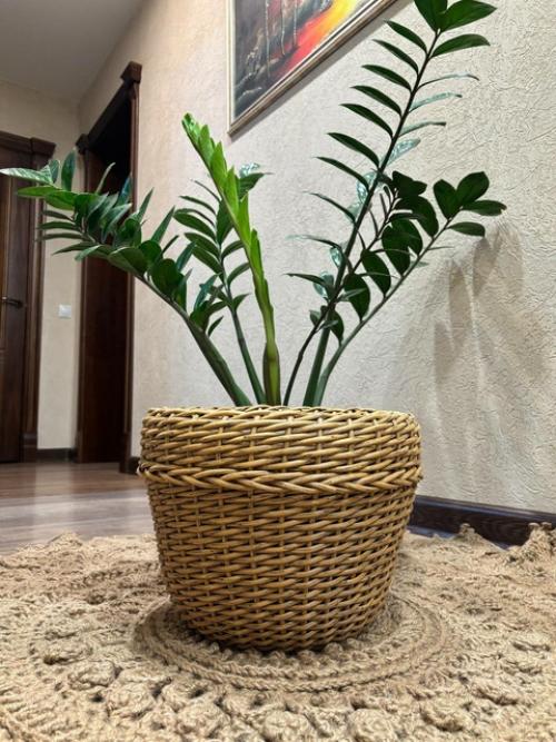 Кашпо из ротанга - это стильный и практичный аксессуар для украшения интерьера или сада. 01