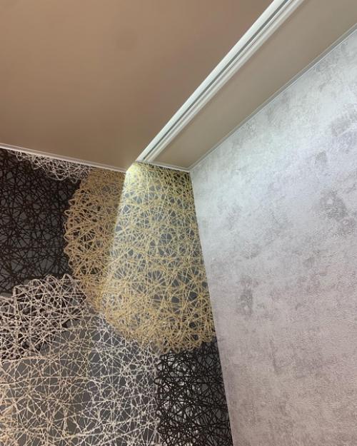 Рейки в интерьере. 05