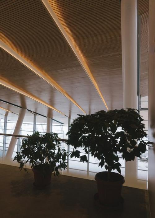 В Ростове-на-дону к ЧМ - 2018 построили новый аэропорт Платов. 07