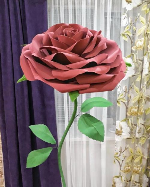 Новая ростовая роза - подарок маме от любящих детей и внучек! 02