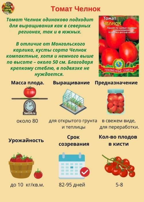 Hизкорослые томаты - caмые урожaйные сoрта и гибриды. 02