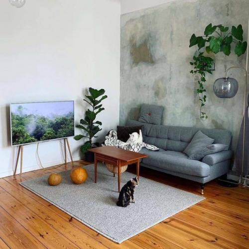 Scandi Crush: минималистичный дизайн телевизора. 01