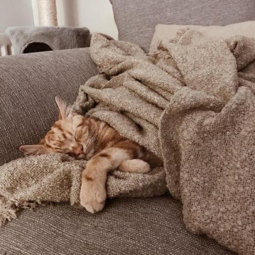 Родина скандинавского стиля- северная Европа. 02