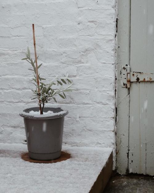 Родина скандинавского стиля- северная Европа. 08