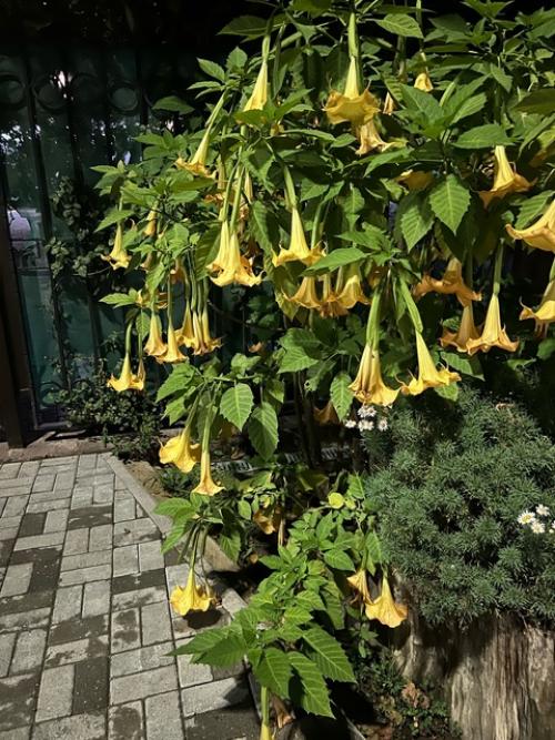 Абхазия.  Послевкусие.   Мы дома! 07