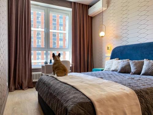 Насыщенный микс ярких цветов и эмоций в интерьере однокомнатной квартиры. 03