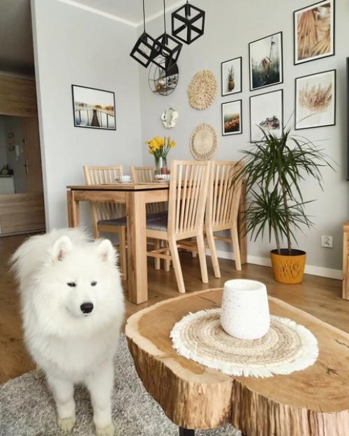 Эта современная квартира - настоящий рай для любителей зеленых растений и натурального дерева в мебели и декоре. 03