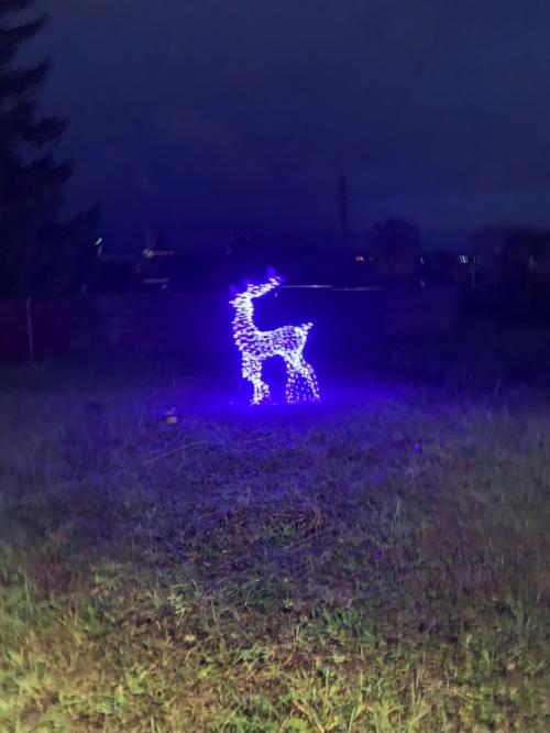 Светящийся новогодний олень. 01