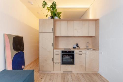 Как вам такая организация пространства со спальной зоной между санузлом и кухней - гостиной? 02