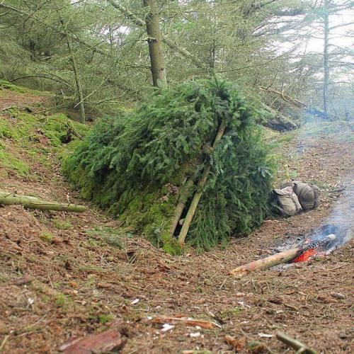 Шалашом не назовешь. 09