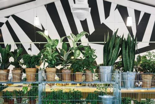 Интерьер кафе - пекарни Булка от архитекторов Crosby Studios! 09