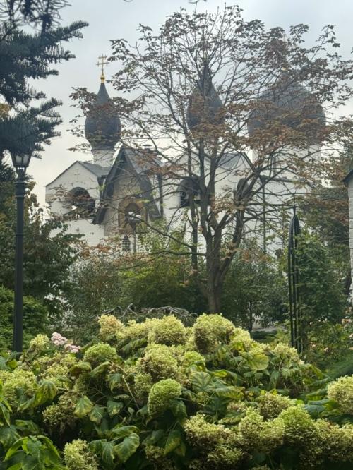 День 2. путешествие на костылях. 05 День 2. путешествие на костылях. 05