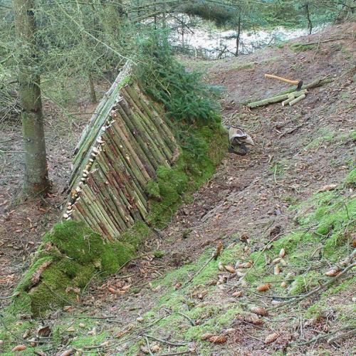 Шалашом не назовешь. 05