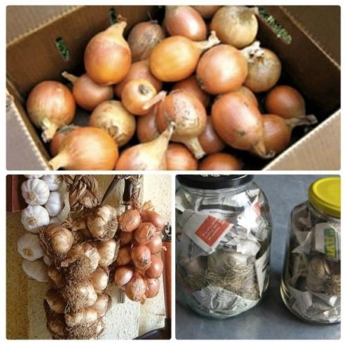 Хранение чеснока и лука: