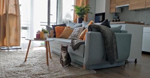 Эта современная квартира - настоящий рай для любителей зеленых растений и натурального дерева в мебели и декоре. 04