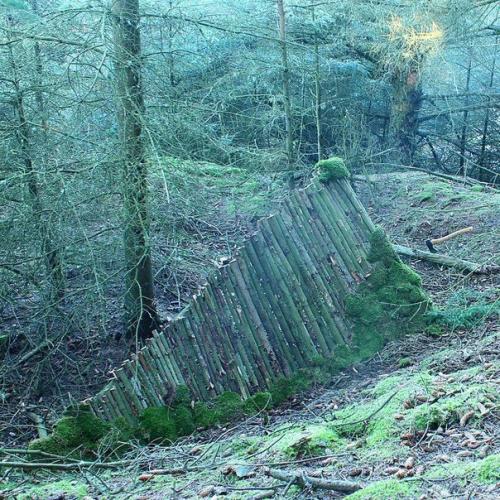 Шалашом не назовешь. 03