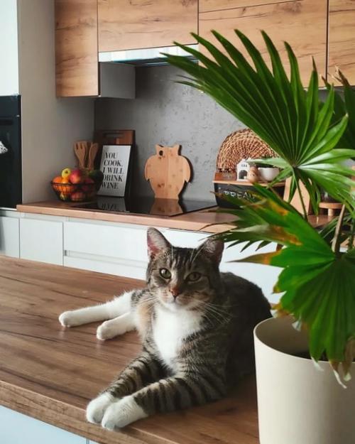 Эта современная квартира - настоящий рай для любителей зеленых растений и натурального дерева в мебели и декоре. 05