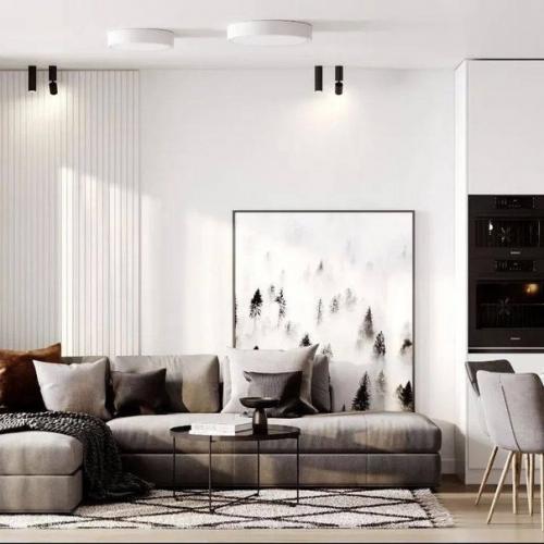 Проект для любителей светлых интерьеров. 03