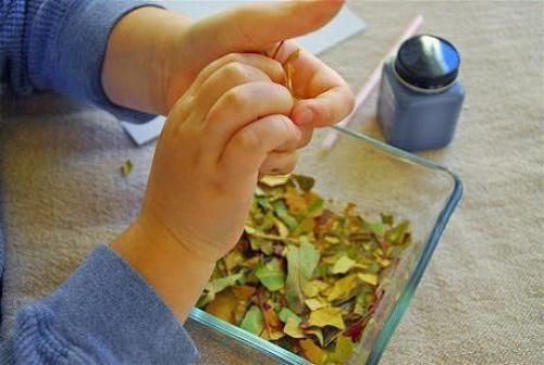 Аппликация из сухих листьев? 01