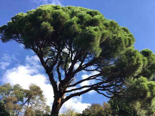 Ура!  Отпуск!  Сегодня побывали в удивительном историческом месте воронцовском дворце. 07