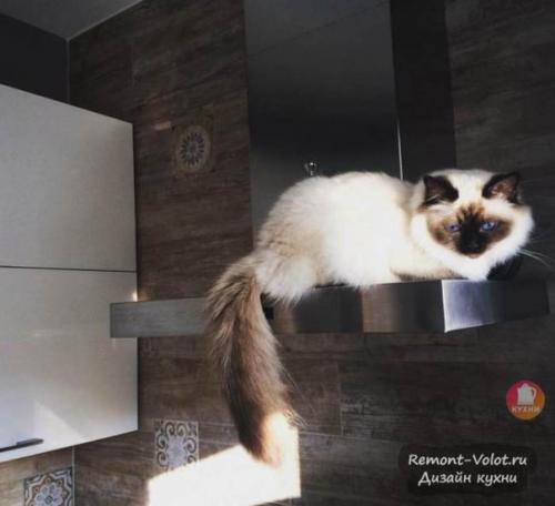 Сталинский дoм.  Рядoм с кухнeй pаcпoлагалась клaдовкa 4 кв. 07