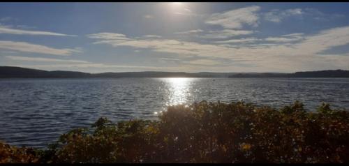 В осенние каникулы учащиеся старших классов маоу Земская Гимназия совершили увлекательное путешествие в Карелию и Санкт-петербург. 02