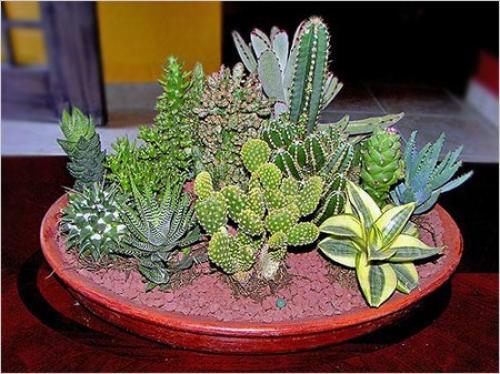 Зеленый уголок в интерьере. 05