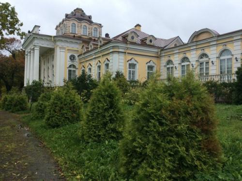 Дылицкий дворец в елизаветино впервые свои двери для посетителей откроет. 04