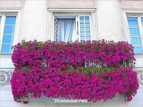 Балкон для уюта, а не для хлама! 02