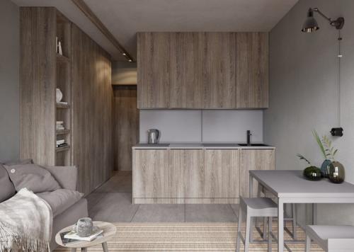 Квартира площадью 20 м 2. 02