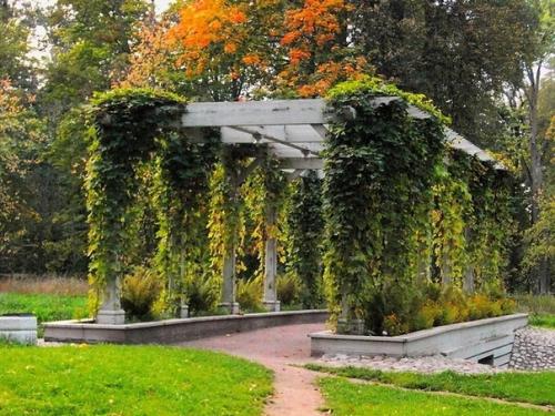 А вы знали почему парк в Петергофе называется Александрией? 02