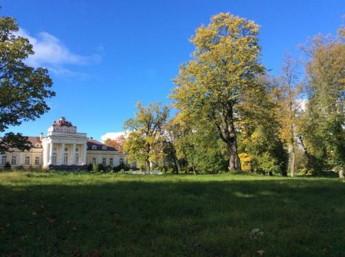 Дылицкий дворец в елизаветино впервые свои двери для посетителей откроет. 03