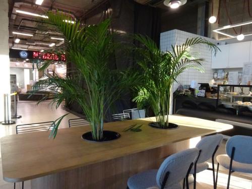 8 октября 2024 года. 03