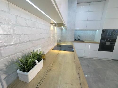 Кухня - гостиная.  Интерьер в холодных тонах. 03