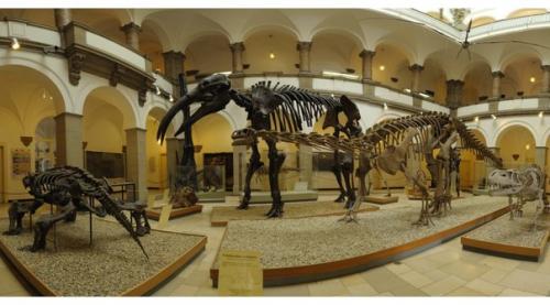 11 нехудожественных музеев Москвы. 04 11 нехудожественных музеев Москвы. 04