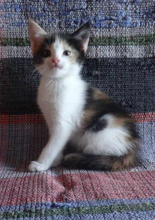 Внимание! Это совсем не жалобный пост. 01 Внимание! Это совсем не жалобный пост. 01