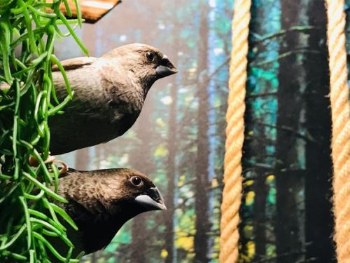 Идея для дома - Живой Дизайн! 02