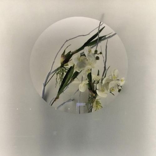 Васаби - ресторан восточной кухни, в котором уживается огромное многообразие культурных традиций - от японской до экзотической паназиатской. 05